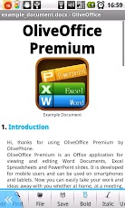 Olive Office _Premium
