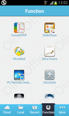 Olive Office _Premium